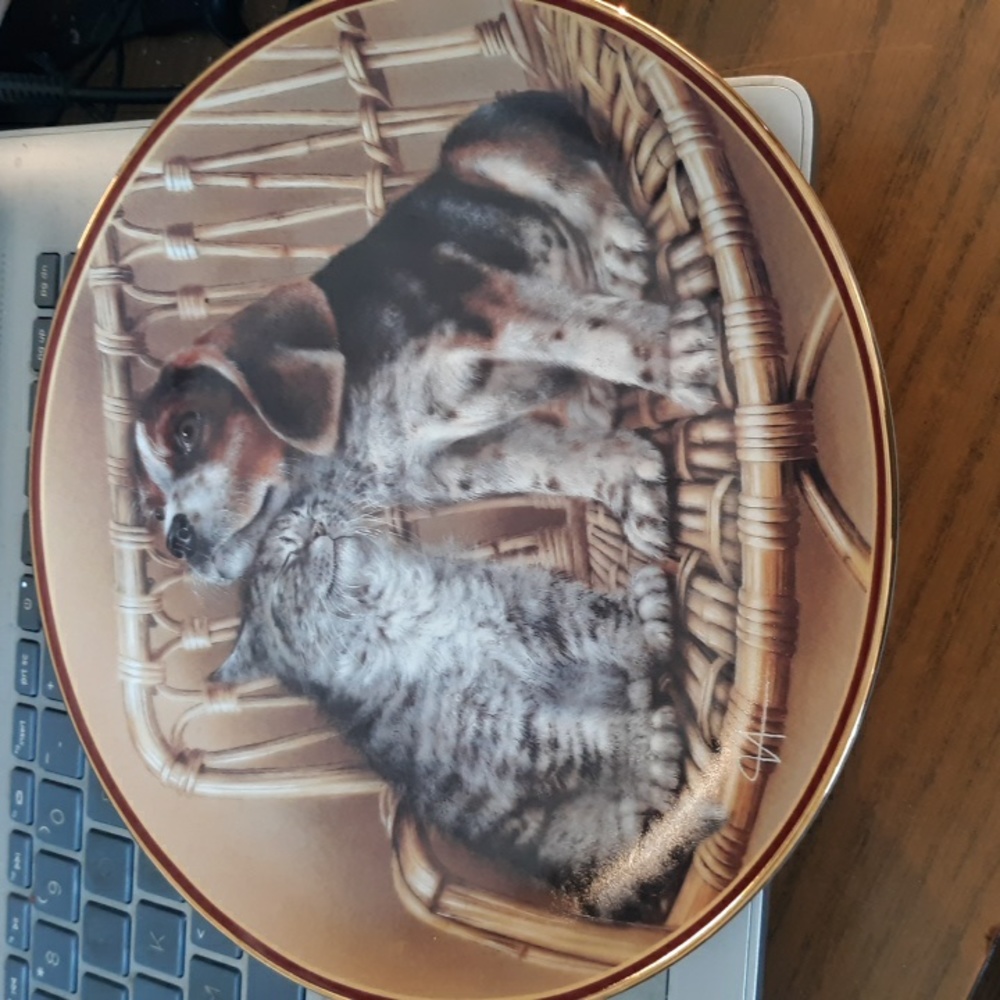 Bradex Friends are Forever collectable plate (SKU 714)